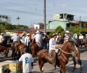 Horseback Riding In Guamal Source  guamal meta gov co
